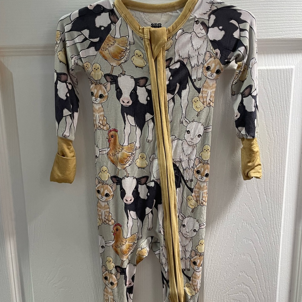 Bamboo - Picture 2 of 3